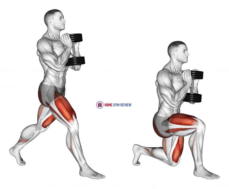 Dumbbell Goblet Split Squat Home Gym Review