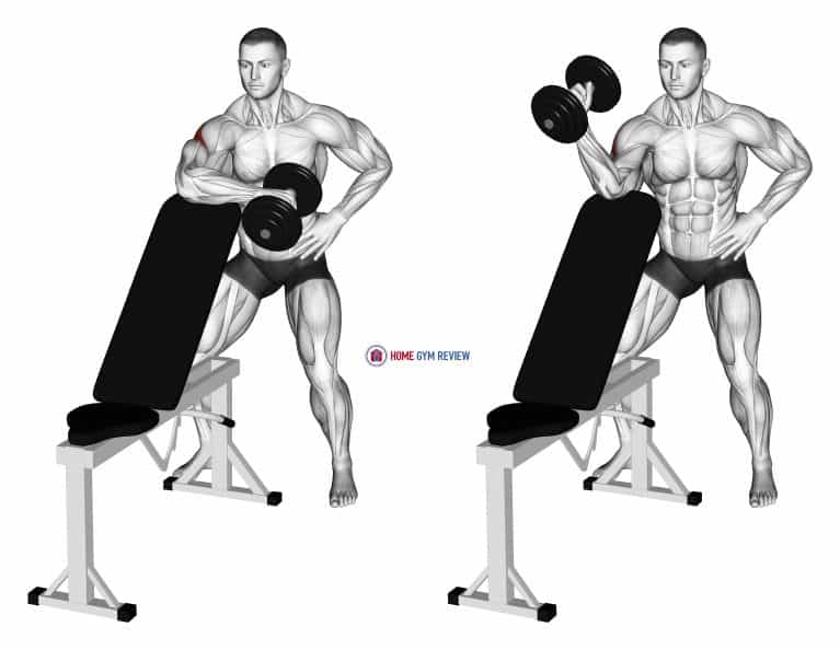 Dumbbell Bench Supported External Rotation Home Gym Review
