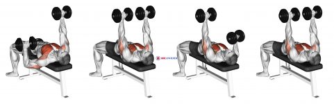 Dumbbell Alternate Bench Press (high start)