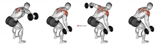 Dumbbell Bent Over Alternate Rear Delt Fly
