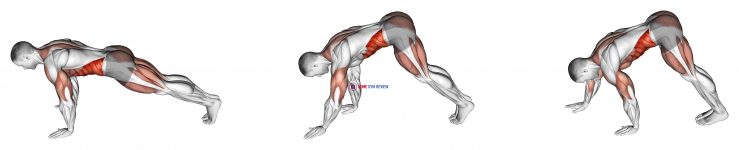 Inchworm (VERSION 2)