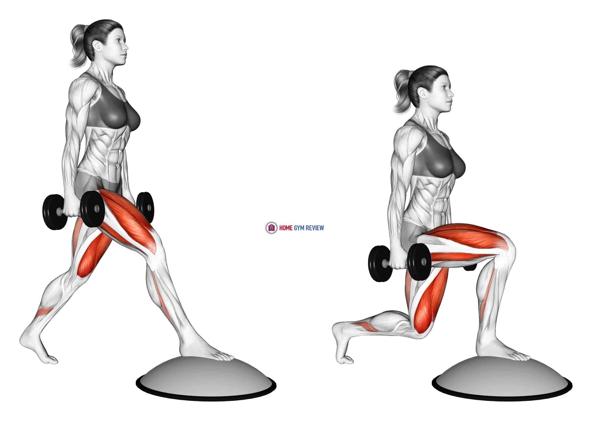 Dumbbell Split Squat Front Foot Elevanted with Bosu Ball (female ...