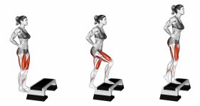 Single Leg Step Up (female)