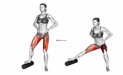 Split Lateral Squat with Roll