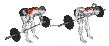 Barbell Bent Over Wide Grip Row