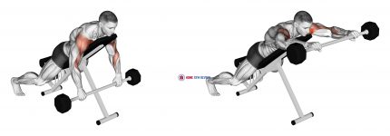 Barbell Incline Lying Rear Delt Raise