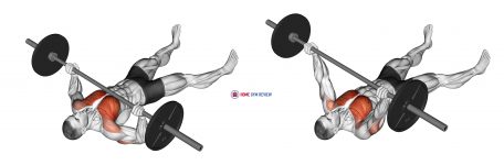 Barbell Floor Chest Press