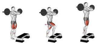 Barbell Front Step Up