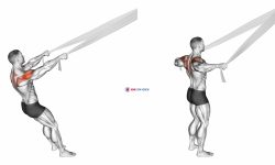 Rear Delt Fly with Bed Sheet