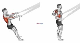 Rear Delt Row with Bed Sheet