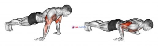 Reverse Push-up