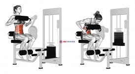 Lever Seated Crunch (chest pad) (female)