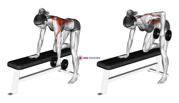 Dumbbell Rear Delt Row (female) - Home Gym Review