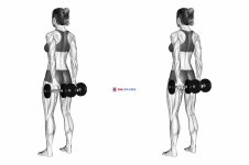 Dumbbell Behind Back Finger Curl (female)