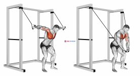 Band high fly (male)