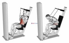 Lever Seated Crunch (VERSION 2)