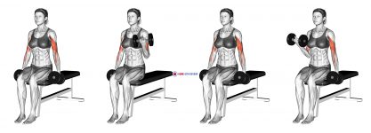 Dumbbell Seated Alternate Biceps Curl (female)