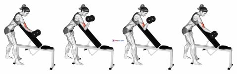 Dumbbell One Arm Zottman Preacher Curl (female)