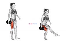 Dumbbell Single Leg Squat (VERSION 2) (female)