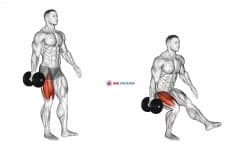 Dumbbell Single Leg Squat (VERSION 2) (male)