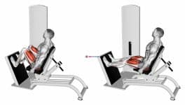 Lever Seated Horizontal Leg Press