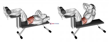 Crunch (on bench) (male)