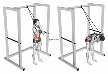 Band Standing Crunch (female)