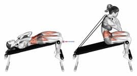 Band Decline Sit up (female)