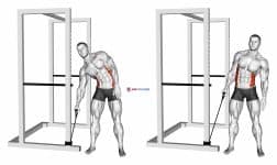 Band Side Bend (male)