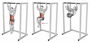 Hanging Knees to Elbows