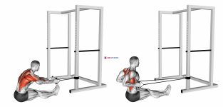 Band seated row (male)