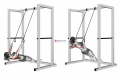 Inverted Row with Straps (female)