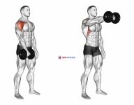 Dumbbell One Arm Front Raise