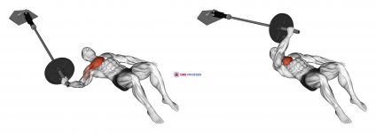 Landmine Floor One Arm Chest Fly