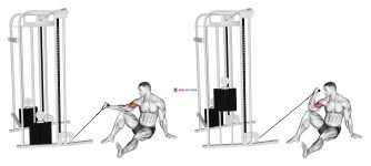 Cable Seated Floor One Arm Concentration Curl