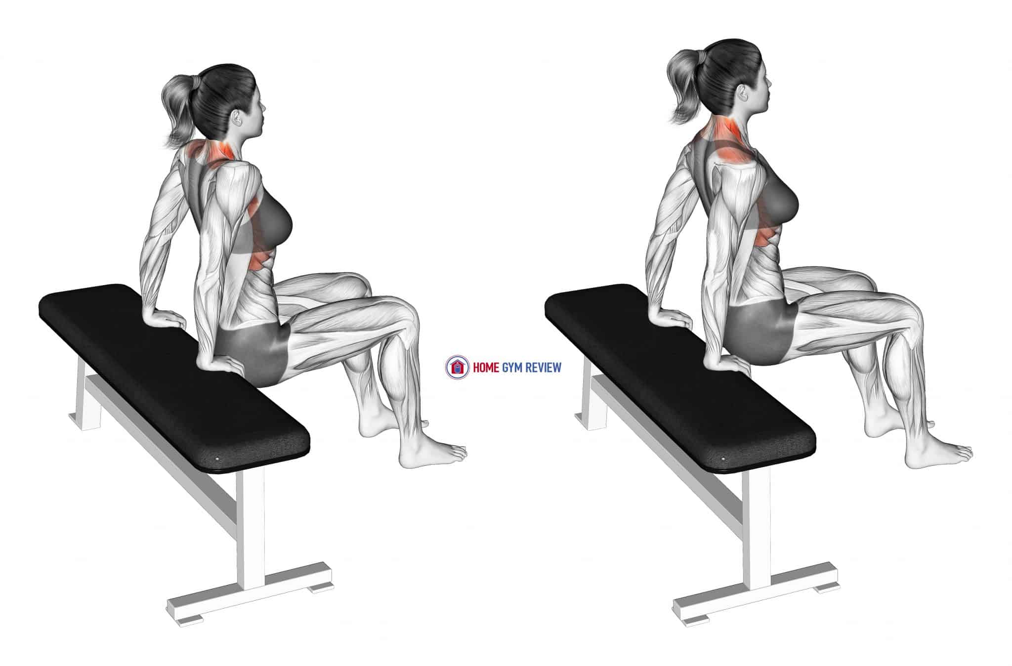 Scapula Dips (female) Home Gym Review