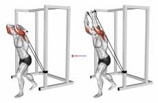 Band overhead triceps extension (male)