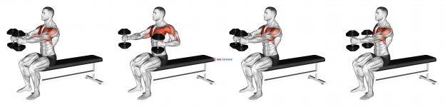 Dumbbell Seated Upright Alternate Squeeze Press