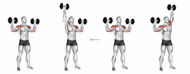 Dumbbell Alternate Shoulder Press (male)