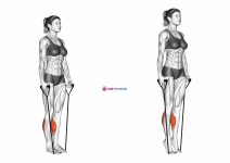 Band Two Legs Calf Raise - (Band under both legs) VERSION 2 (female)