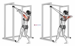 Band standing rear delt row (female)