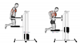 Assisted Chest Dips (Kneeling)