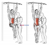 Assisted Hanging Knee Raise With Throw Down