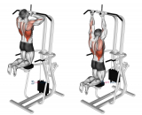 Assisted Parallel Close Grip Pull Ups
