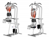 Assisted Pull-Up