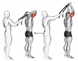 Assisted Standing Triceps Extension (with towel)