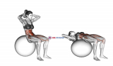 Ball Sit-up (on stability ball)