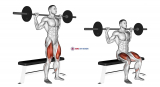 Barbell Bench Squat