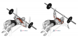 Barbell Decline Bench Press