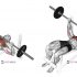 Barbell Drag Curl